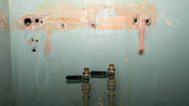 Best Sewage cleanup and water damage restoration  in Lake Delta, NY
